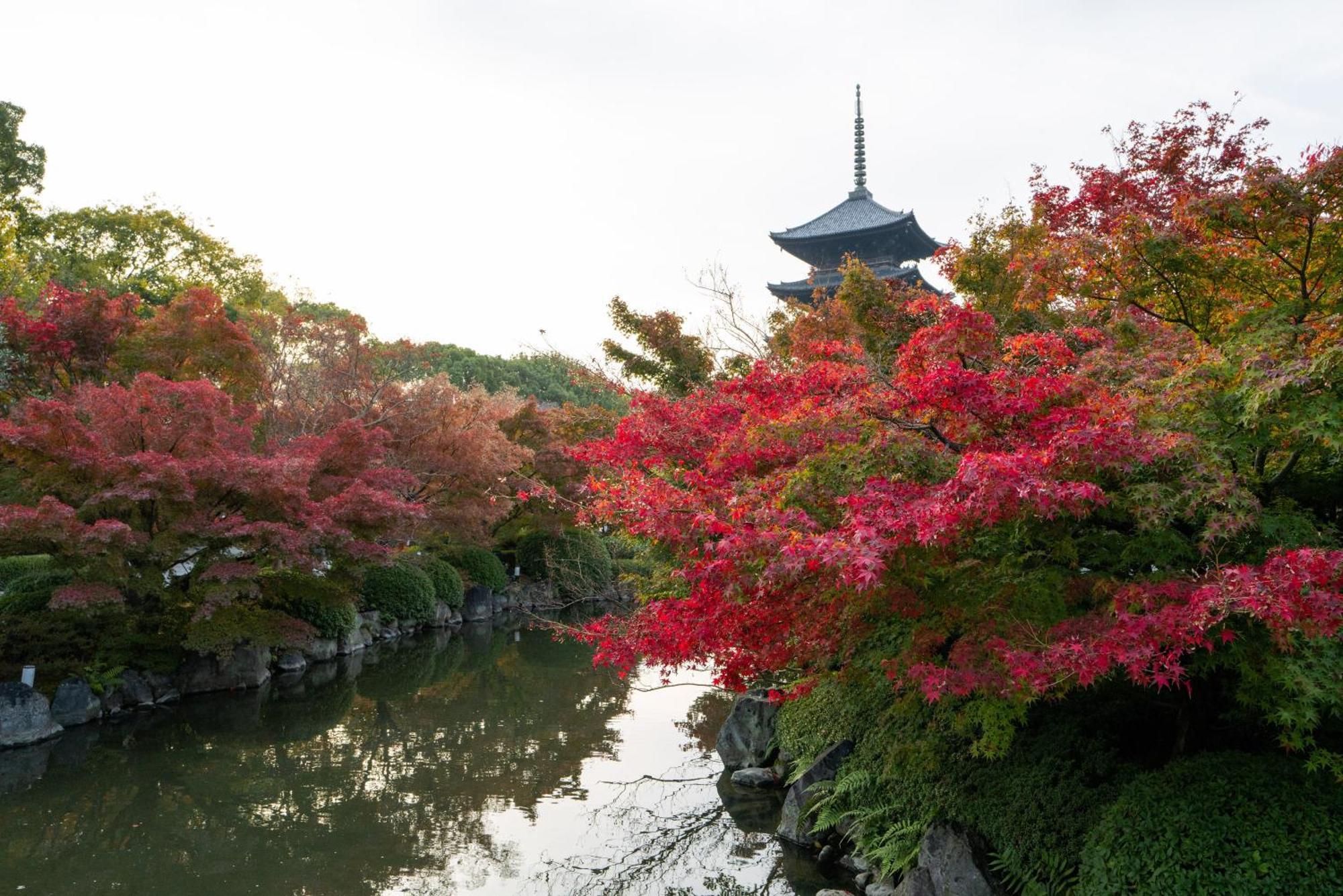 Kyoto Brighton Hotel Exterior photo Autumn colours at Uji