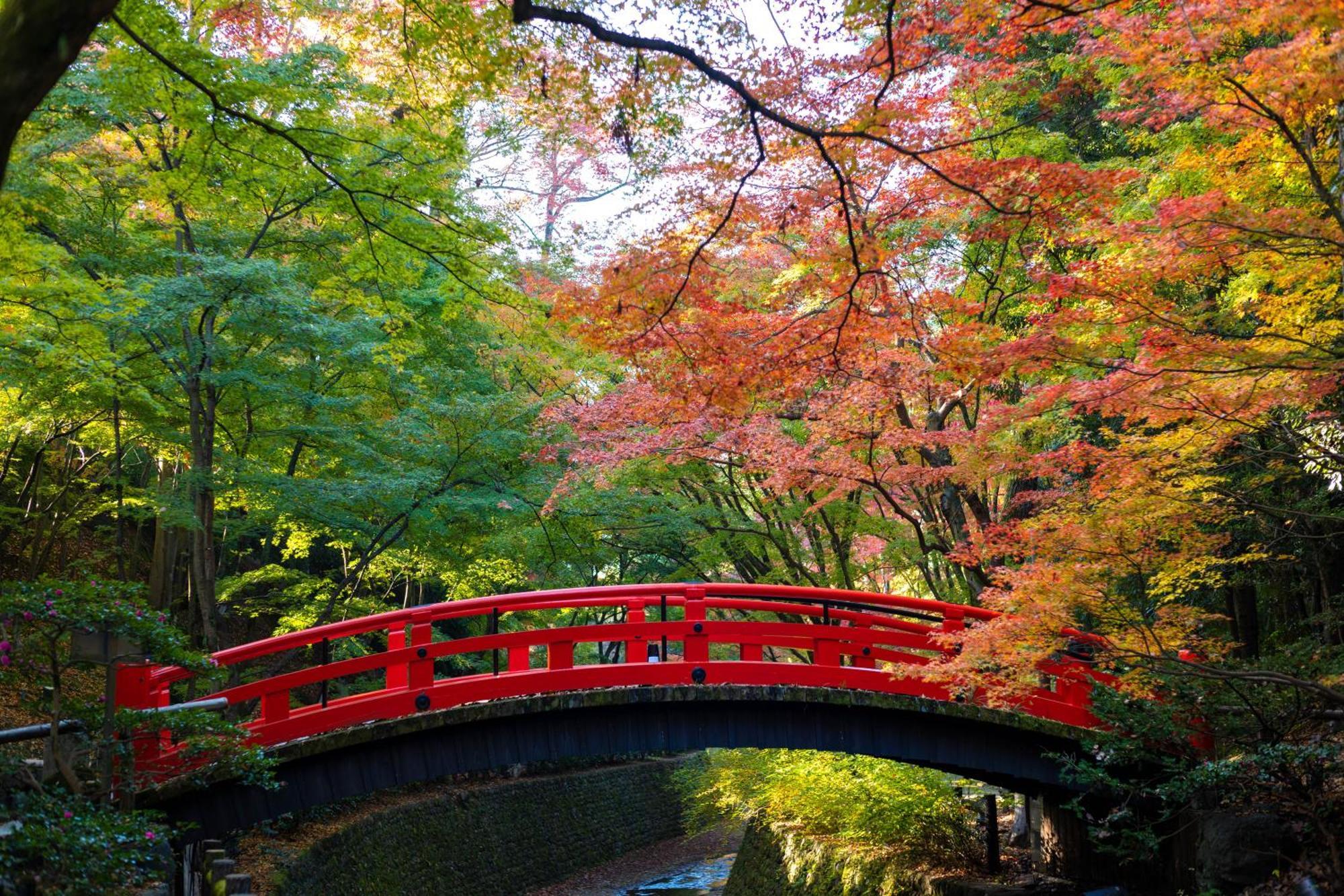 Kyoto Brighton Hotel Exterior photo Autumn at the Japanese Tea Garden